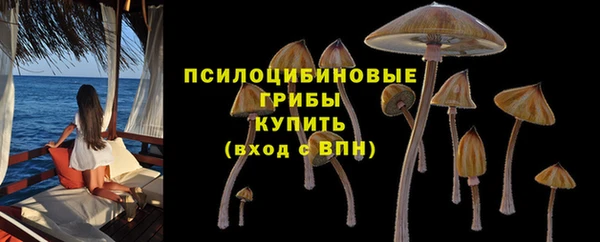 скорость mdpv Горно-Алтайск