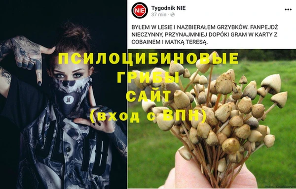 ALPHA-PVP Горнозаводск