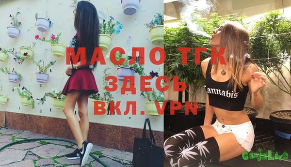 дурь Вяземский