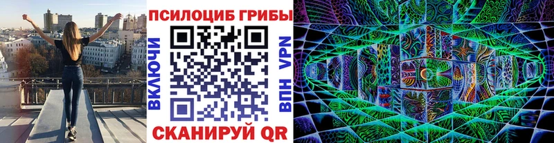 Псилоцибиновые грибы Psilocybe  Купить закладки  Верхнеуральск 